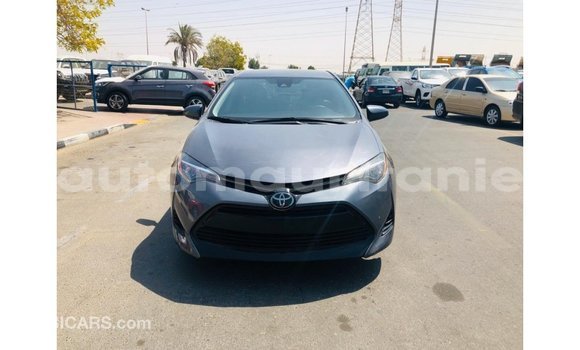 Buy Import Toyota Corolla Other Car in Import - Dubai in Adrar Buy Import Toyota Corolla Other Car in Import - Dubai in Adrar