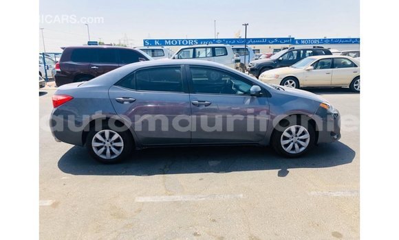 Buy Import Toyota Corolla Other Car in Import - Dubai in Adrar Buy Import Toyota Corolla Other Car in Import - Dubai in Adrar