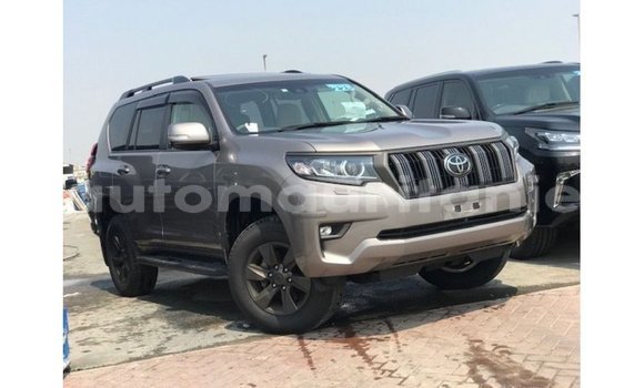 Buy Import Toyota Prado Brown Car in Import - Dubai in Adrar
