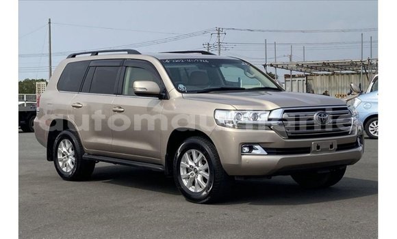 Buy Import Toyota Land Cruiser Other Car in Import - Dubai in Adrar