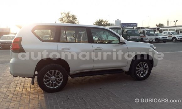 Buy Import Toyota Prado White Car in Import - Dubai in Adrar Buy Import Toyota Prado White Car in Import - Dubai in Adrar