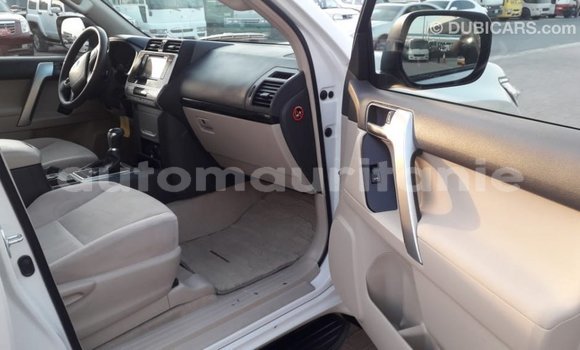 Buy Import Toyota Prado White Car in Import - Dubai in Adrar Buy Import Toyota Prado White Car in Import - Dubai in Adrar
