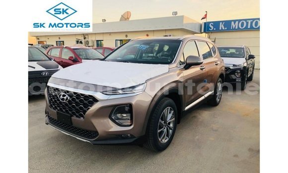 Buy Import Hyundai Santa Fe Brown Car in Import - Dubai in Adrar