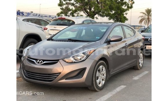 Buy Import Hyundai Elantra Brown Car in Import - Dubai in Adrar Buy Import Hyundai Elantra Brown Car in Import - Dubai in Adrar