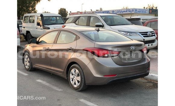 Buy Import Hyundai Elantra Brown Car in Import - Dubai in Adrar Buy Import Hyundai Elantra Brown Car in Import - Dubai in Adrar