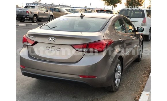 Buy Import Hyundai Elantra Brown Car in Import - Dubai in Adrar Buy Import Hyundai Elantra Brown Car in Import - Dubai in Adrar