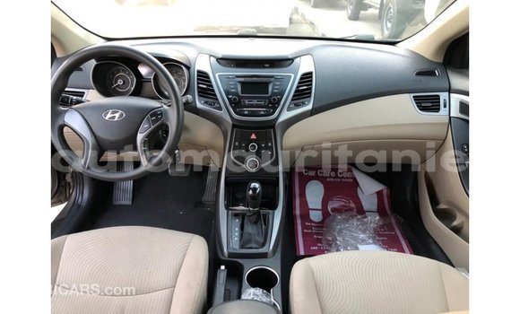 Buy Import Hyundai Elantra Brown Car in Import - Dubai in Adrar Buy Import Hyundai Elantra Brown Car in Import - Dubai in Adrar