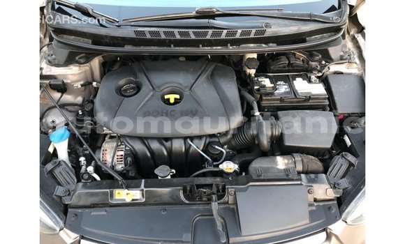 Buy Import Hyundai Elantra Brown Car in Import - Dubai in Adrar Buy Import Hyundai Elantra Brown Car in Import - Dubai in Adrar