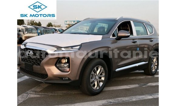 Buy Import Hyundai Santa Fe Brown Car in Import - Dubai in Adrar