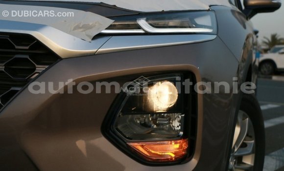 Buy Import Hyundai Santa Fe Brown Car in Import - Dubai in Adrar Buy Import Hyundai Santa Fe Brown Car in Import - Dubai in Adrar