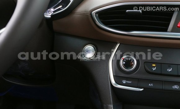 Buy Import Hyundai Santa Fe Brown Car in Import - Dubai in Adrar Buy Import Hyundai Santa Fe Brown Car in Import - Dubai in Adrar