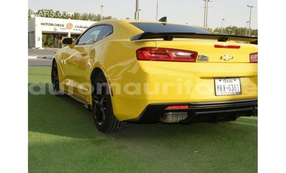 Acheter Import Voiture Chevrolet Camaro Autre à Import - Dubai, Adrar Acheter Import Voiture Chevrolet Camaro Autre à Import - Dubai, Adrar