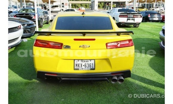 Acheter Import Voiture Chevrolet Camaro Autre à Import - Dubai, Adrar Acheter Import Voiture Chevrolet Camaro Autre à Import - Dubai, Adrar