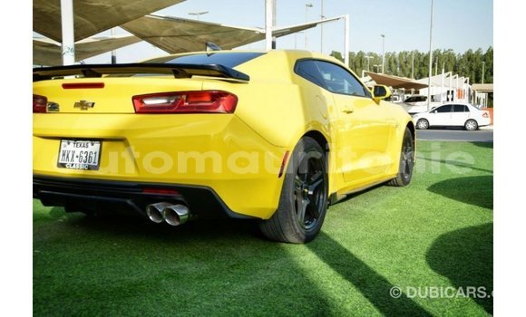 Acheter Import Voiture Chevrolet Camaro Autre à Import - Dubai, Adrar Acheter Import Voiture Chevrolet Camaro Autre à Import - Dubai, Adrar