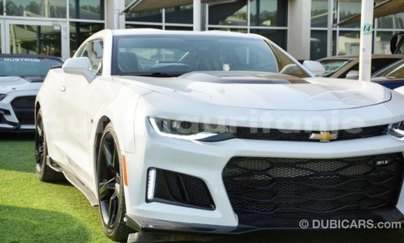 Acheter Import Voiture Chevrolet Camaro Blanc à Import - Dubai, Adrar Acheter Import Voiture Chevrolet Camaro Blanc à Import - Dubai, Adrar