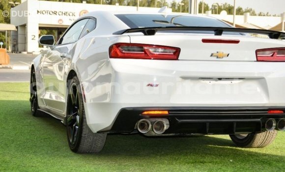 Acheter Import Voiture Chevrolet Camaro Blanc à Import - Dubai, Adrar Acheter Import Voiture Chevrolet Camaro Blanc à Import - Dubai, Adrar