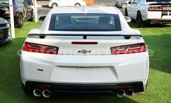 Acheter Import Voiture Chevrolet Camaro Blanc à Import - Dubai, Adrar Acheter Import Voiture Chevrolet Camaro Blanc à Import - Dubai, Adrar