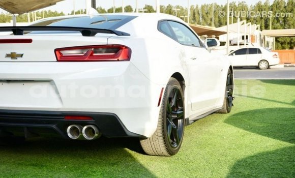 Acheter Import Voiture Chevrolet Camaro Blanc à Import - Dubai, Adrar Acheter Import Voiture Chevrolet Camaro Blanc à Import - Dubai, Adrar