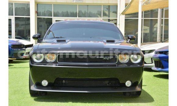 Buy Import Dodge Challenger Black Car in Import - Dubai in Adrar