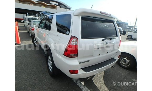Acheter Import Voiture Toyota Hilux Blanc à Import - Dubai, Adrar Acheter Import Voiture Toyota Hilux Blanc à Import - Dubai, Adrar