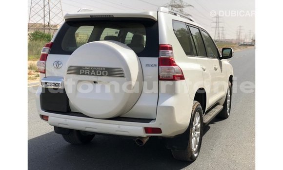 Buy Import Toyota Prado White Car in Import - Dubai in Adrar Buy Import Toyota Prado White Car in Import - Dubai in Adrar