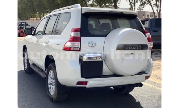 Buy Import Toyota Prado White Car in Import - Dubai in Adrar Buy Import Toyota Prado White Car in Import - Dubai in Adrar