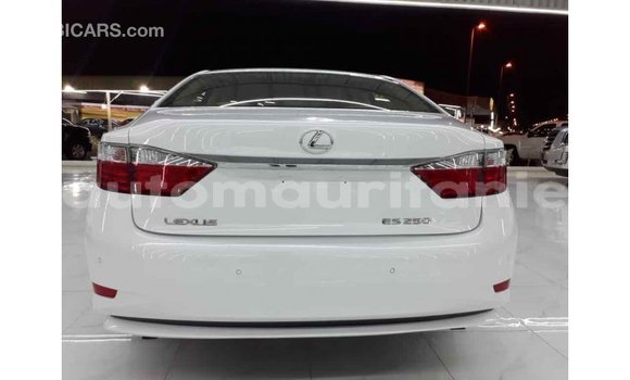 Buy Import Lexus ES White Car in Import - Dubai in Adrar Buy Import Lexus ES White Car in Import - Dubai in Adrar