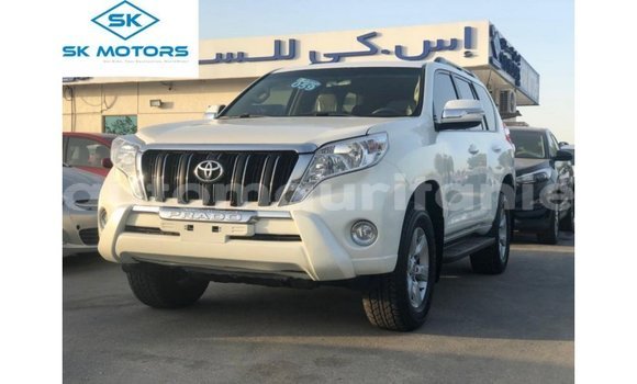 Buy Import Toyota Prado White Car in Import - Dubai in Adrar