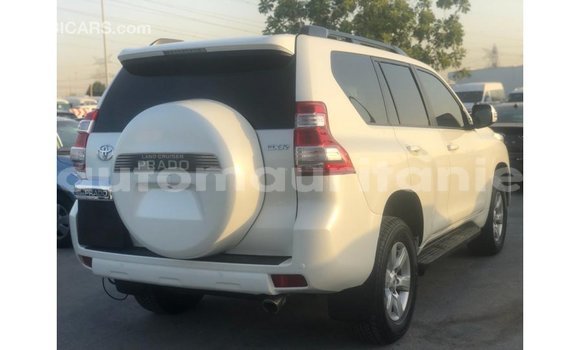 Buy Import Toyota Prado White Car in Import - Dubai in Adrar Buy Import Toyota Prado White Car in Import - Dubai in Adrar