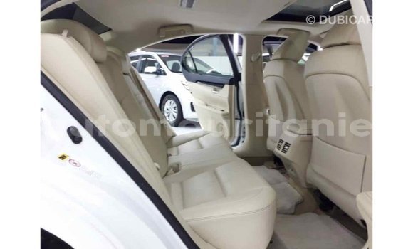 Buy Import Lexus ES White Car in Import - Dubai in Adrar Buy Import Lexus ES White Car in Import - Dubai in Adrar