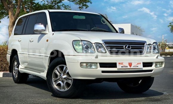 Buy Import Lexus LX White Car in Import - Dubai in Adrar