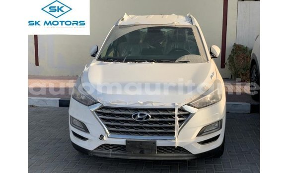 Buy Import Hyundai Tucson White Car in Import - Dubai in Adrar