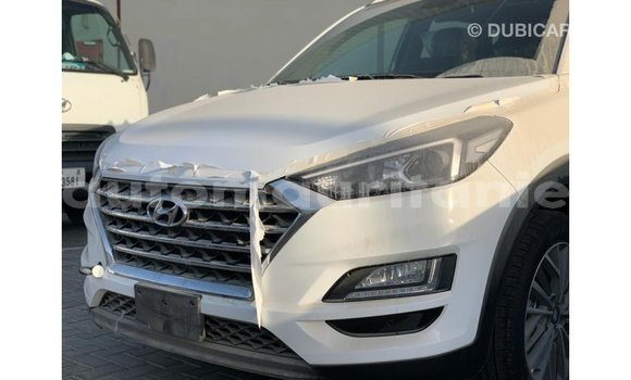 Buy Import Hyundai Tucson White Car in Import - Dubai in Adrar Buy Import Hyundai Tucson White Car in Import - Dubai in Adrar