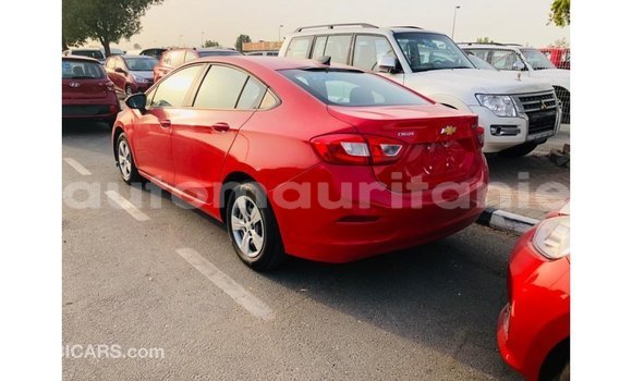Buy Import Chevrolet Cruze Red Car in Import - Dubai in Adrar Buy Import Chevrolet Cruze Red Car in Import - Dubai in Adrar