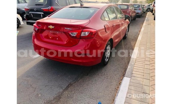 Buy Import Chevrolet Cruze Red Car in Import - Dubai in Adrar Buy Import Chevrolet Cruze Red Car in Import - Dubai in Adrar