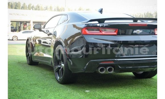 Acheter Import Voiture Chevrolet Camaro Noir à Import - Dubai, Adrar Acheter Import Voiture Chevrolet Camaro Noir à Import - Dubai, Adrar
