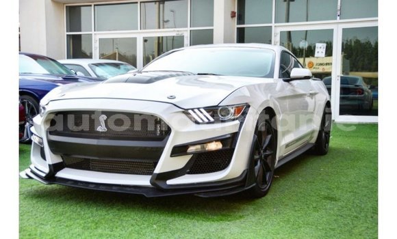 Buy Import Ford Mustang White Car in Import - Dubai in Adrar