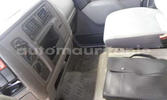 Acheter Occasion Utilitaire Renault D55 Blanc à Nouadhibou, Dakhlet Nouadhibou Acheter Occasion Utilitaire Renault D55 Blanc à Nouadhibou, Dakhlet Nouadhibou