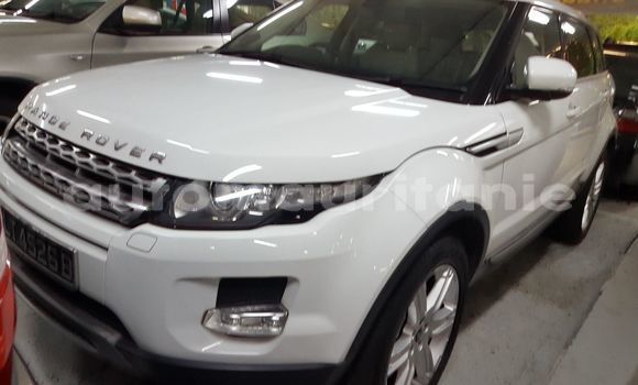 Acheter Neuf Voiture Rover P4 Blanc à Nouakchott, Nouakchott Ouest
