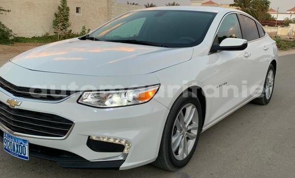 Acheter Occasion Voiture Chevrolet Malibu Blanc à Nouakchott, Nouakchott Ouest Acheter Occasion Voiture Chevrolet Malibu Blanc à Nouakchott, Nouakchott Ouest