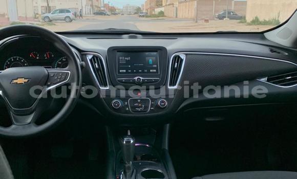 Acheter Occasion Voiture Chevrolet Malibu Blanc à Nouakchott, Nouakchott Ouest Acheter Occasion Voiture Chevrolet Malibu Blanc à Nouakchott, Nouakchott Ouest