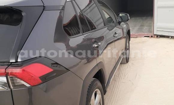 Buy New Toyota RAV4 Black Car in Nouakchott in West Nouakchott