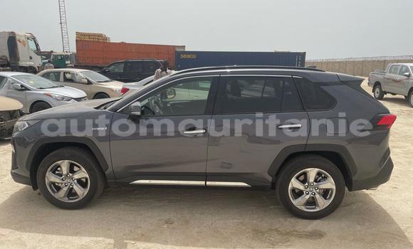 Acheter Neuf Voiture Toyota RAV4 Noir à Nouakchott, Nouakchott Ouest Acheter Neuf Voiture Toyota RAV4 Noir à Nouakchott, Nouakchott Ouest