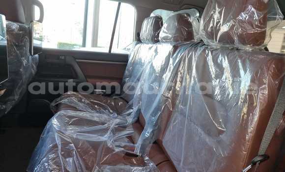 Acheter Neuf Voiture Toyota Land Cruiser Noir à Import - Dubai, Adrar Acheter Neuf Voiture Toyota Land Cruiser Noir à Import - Dubai, Adrar