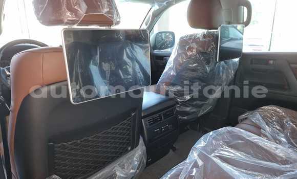 Acheter Neuf Voiture Toyota Land Cruiser Noir à Import - Dubai, Adrar Acheter Neuf Voiture Toyota Land Cruiser Noir à Import - Dubai, Adrar
