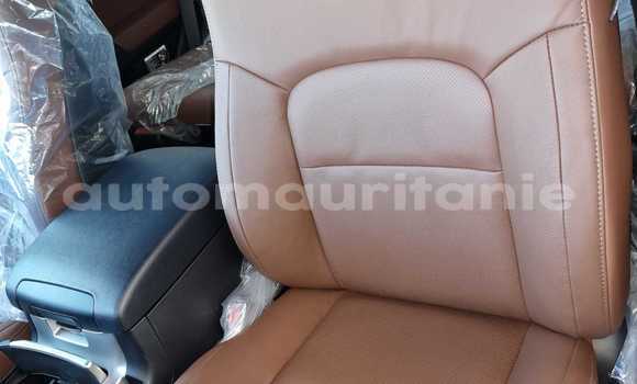 Acheter Neuf Voiture Toyota Land Cruiser Noir à Import - Dubai, Adrar Acheter Neuf Voiture Toyota Land Cruiser Noir à Import - Dubai, Adrar