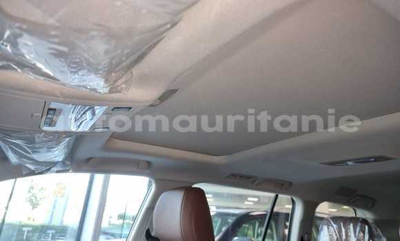 Acheter Neuf Voiture Toyota Land Cruiser Noir à Import - Dubai, Adrar Acheter Neuf Voiture Toyota Land Cruiser Noir à Import - Dubai, Adrar