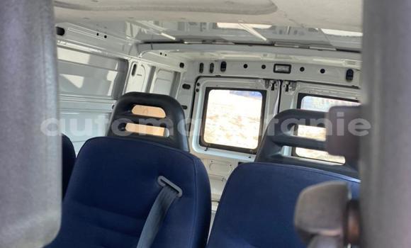 Acheter Import Utilitaire Iveco Daily Blanc à Nouakchott, Nouakchott Ouest Acheter Import Utilitaire Iveco Daily Blanc à Nouakchott, Nouakchott Ouest