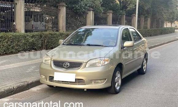 Buy Used Toyota Vios Silver Car in Adel Bagrou in Hodh ech Chargui
