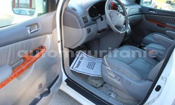 Buy Used Toyota Sienna White Car in Adel Bagrou in Hodh ech Chargui Buy Used Toyota Sienna White Car in Adel Bagrou in Hodh ech Chargui